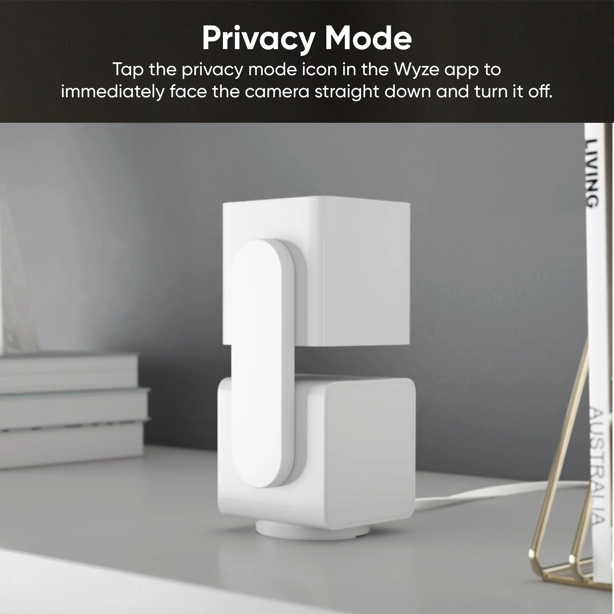 Outdoor Security Basic - Image 4