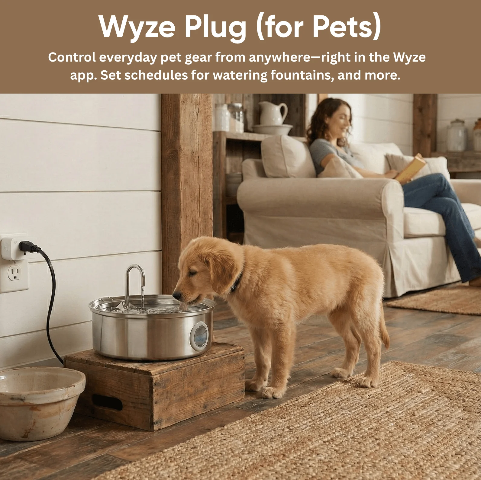 Pet Monitoring Basic - Image 3