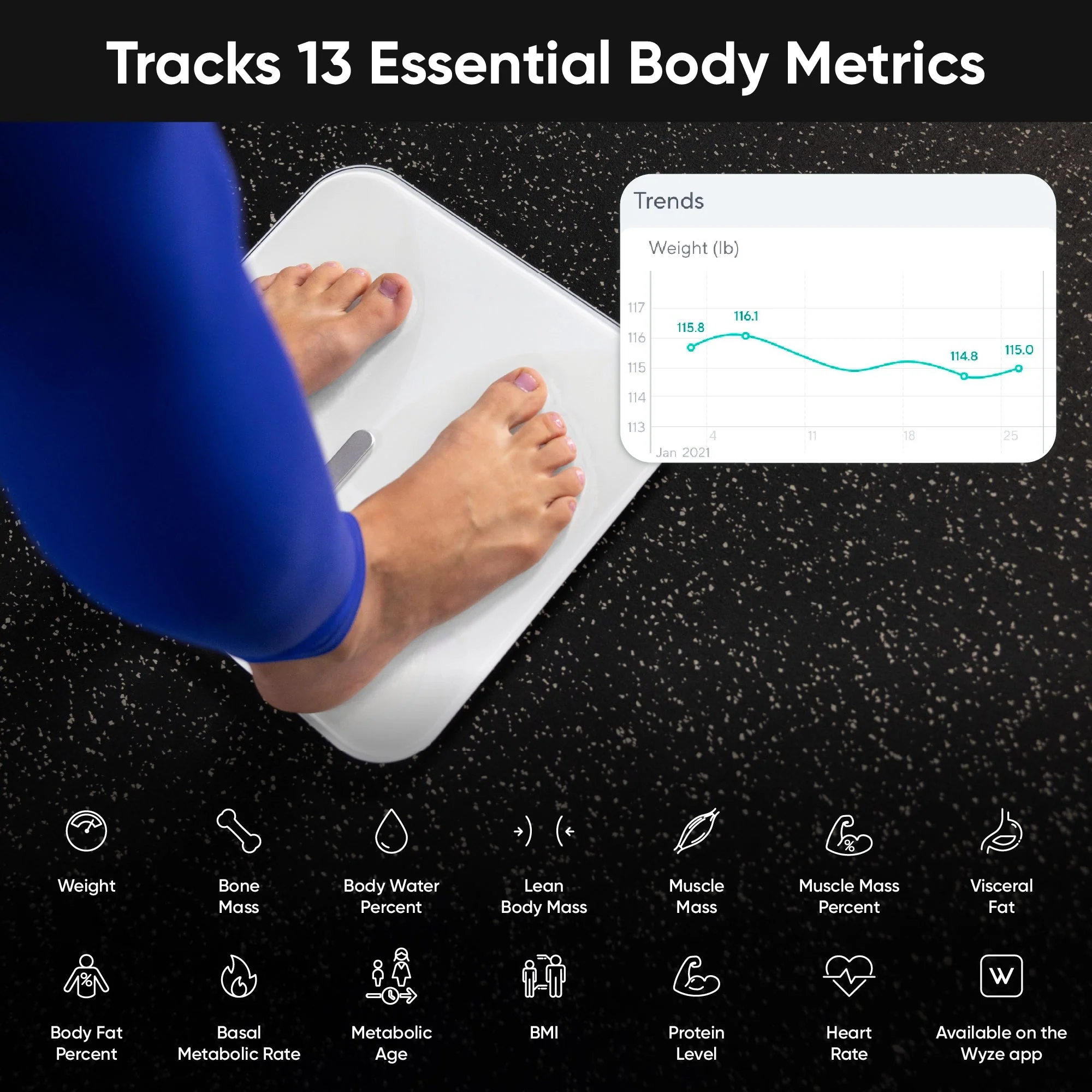 Wyze Scale X - Image 4