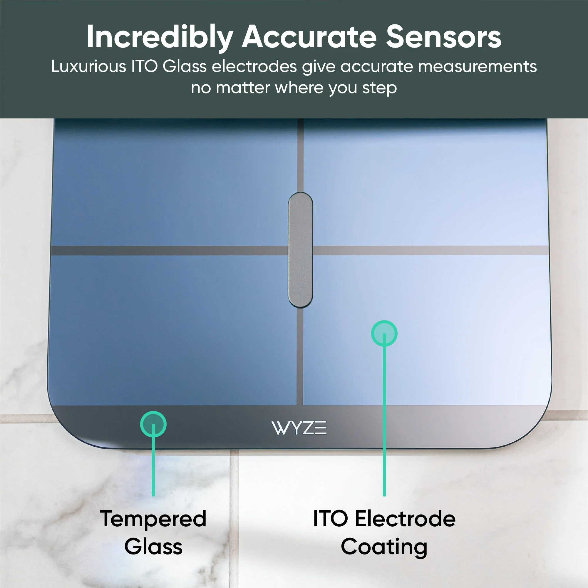 Wyze Scale X - Image 6